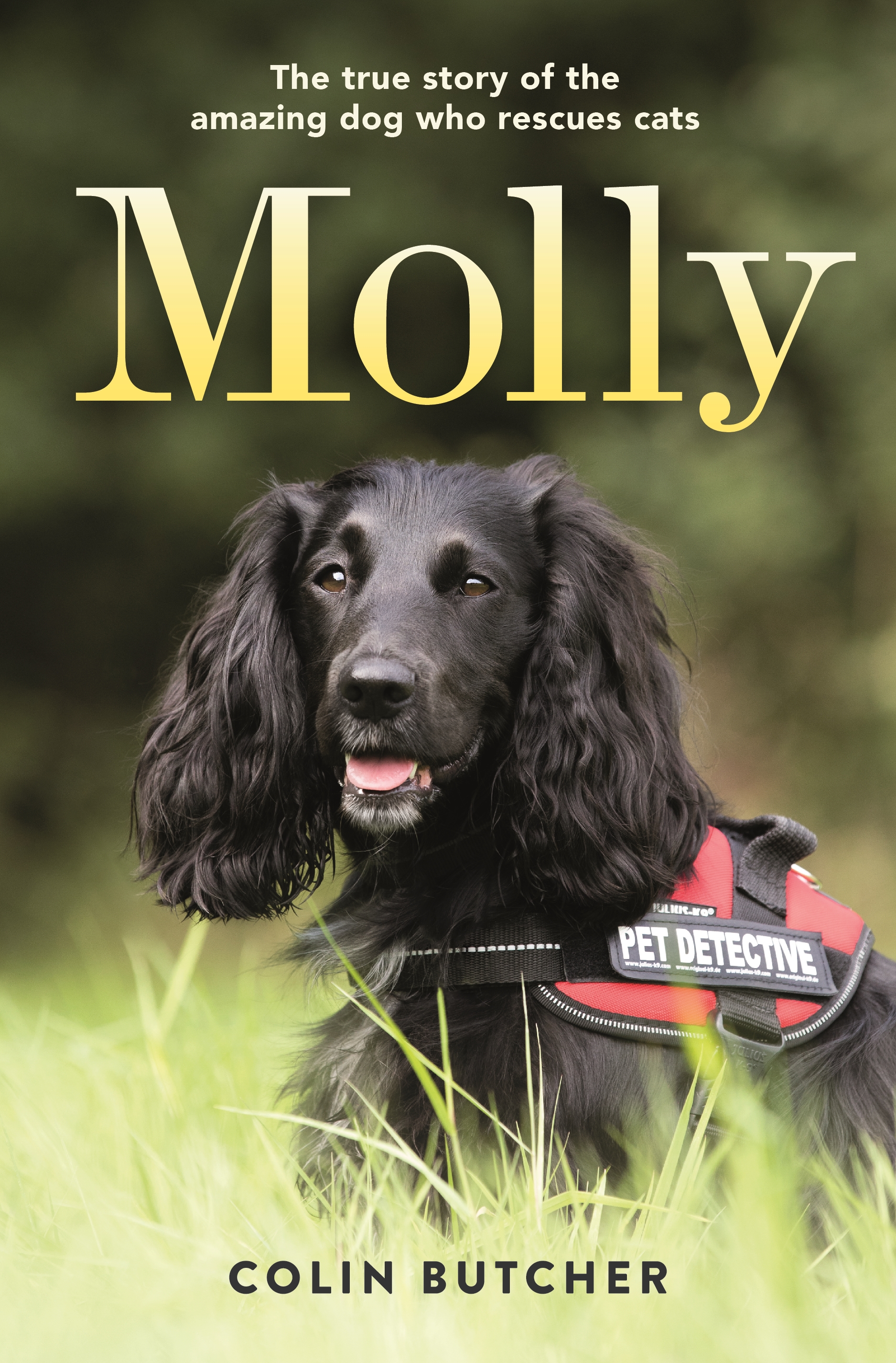 A black dog wearing a red "pet detective" harness sits attentively amidst lush green grass, featured on the cover of a book titled "molly - the true story of the amazing dog who rescues cats" by colin butcher.