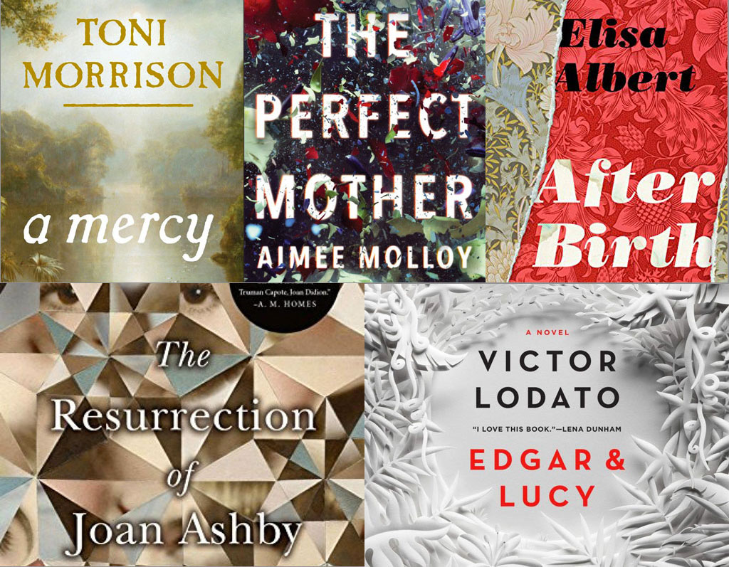 A collage of six book covers representing a selection of contemporary literary fiction.