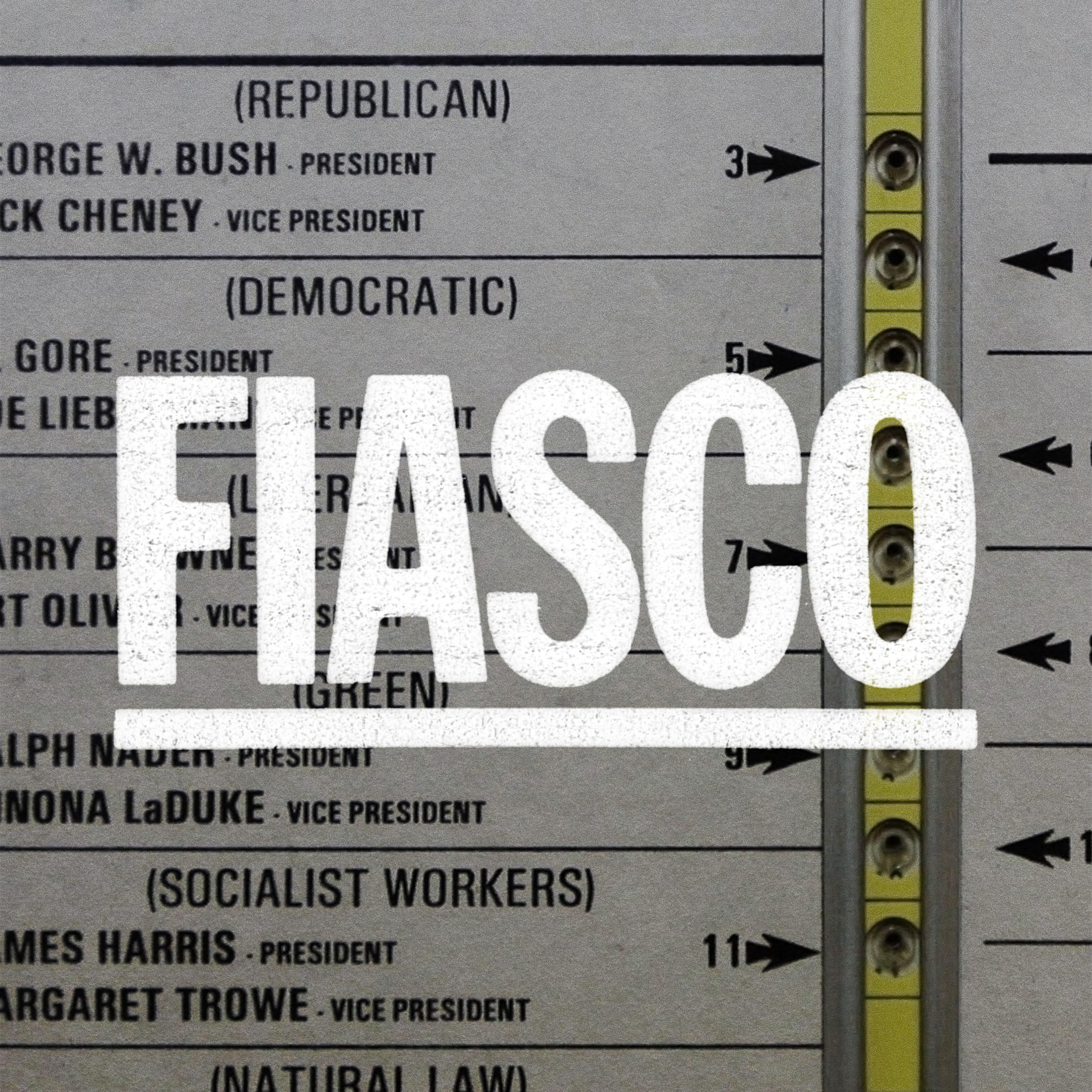Fiasco: the infamous butterfly ballot from the 2000 u.s. presidential election, revealing an electoral slip-up that made history.