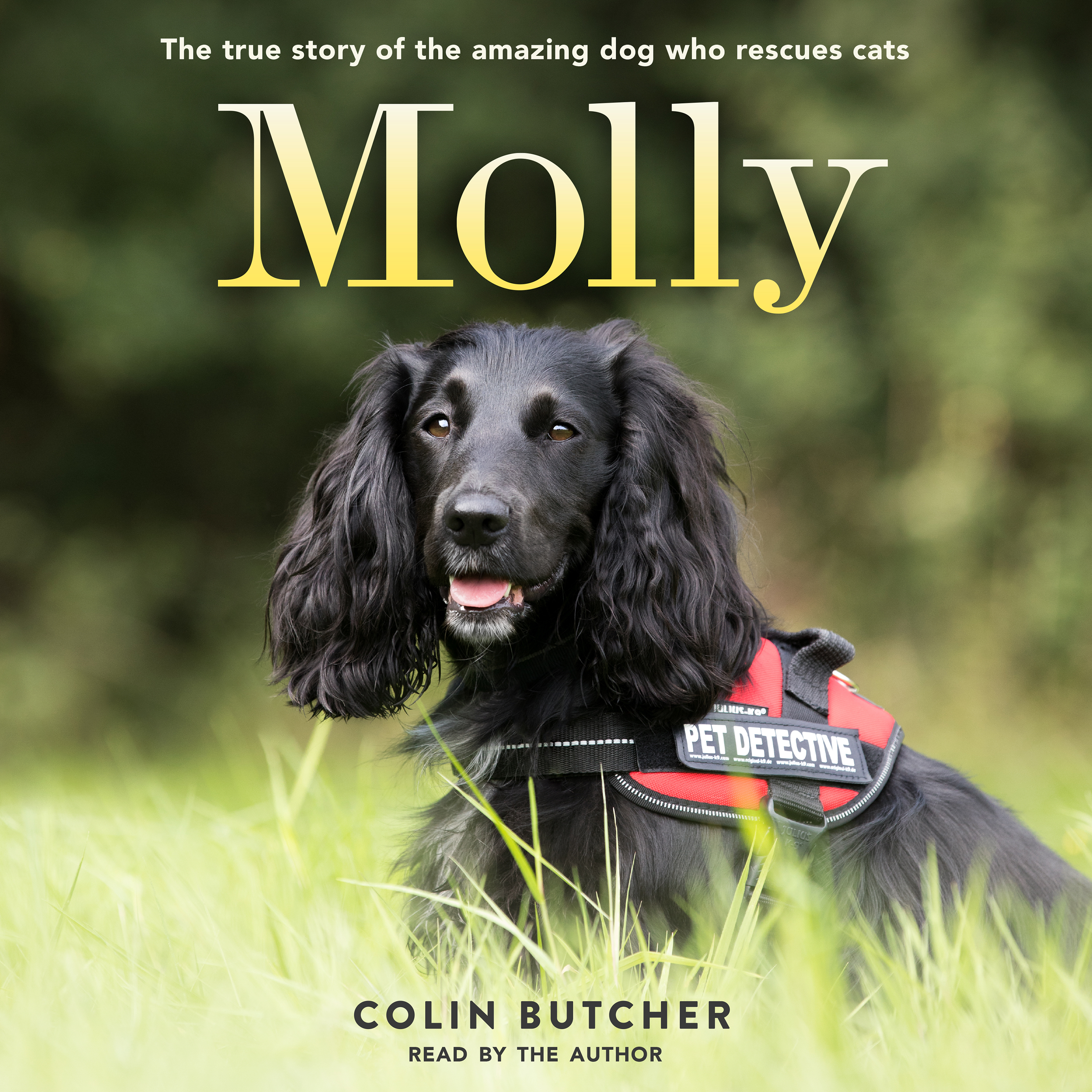 Molly Audiobook