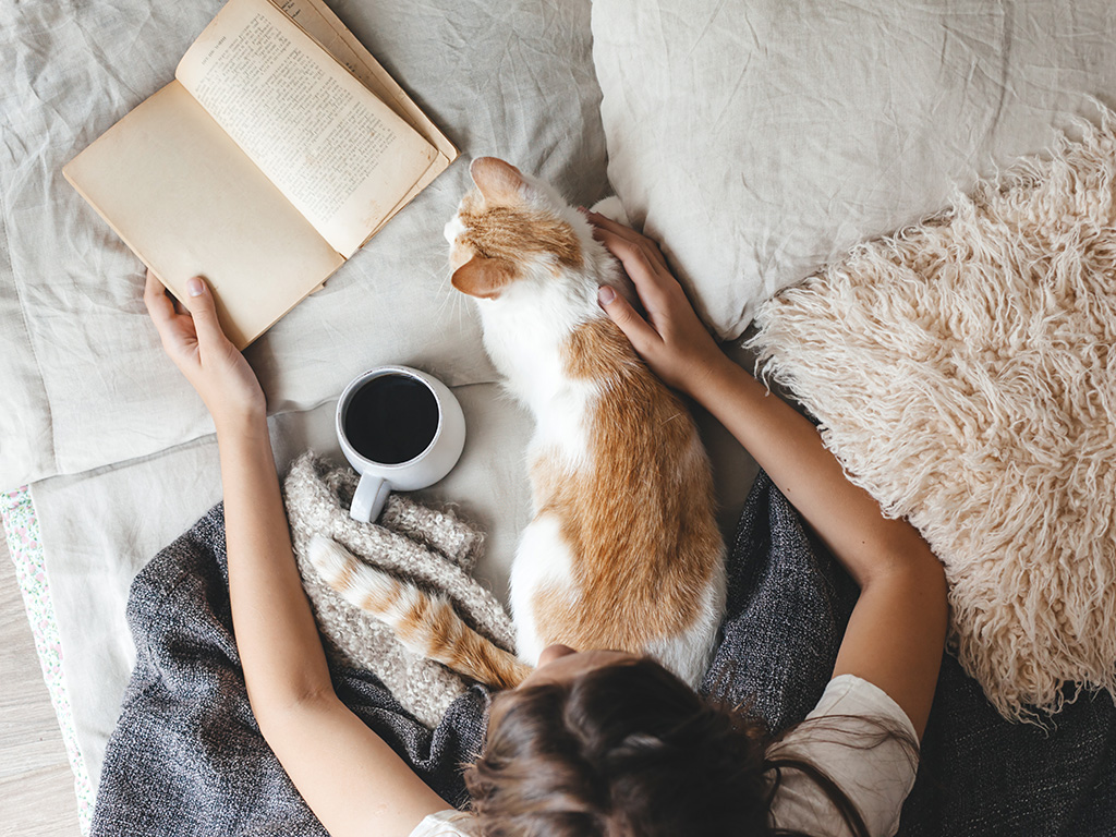reading with cat