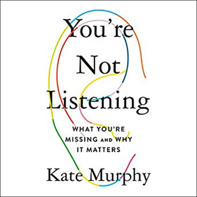 You're Not Listening Audiobook