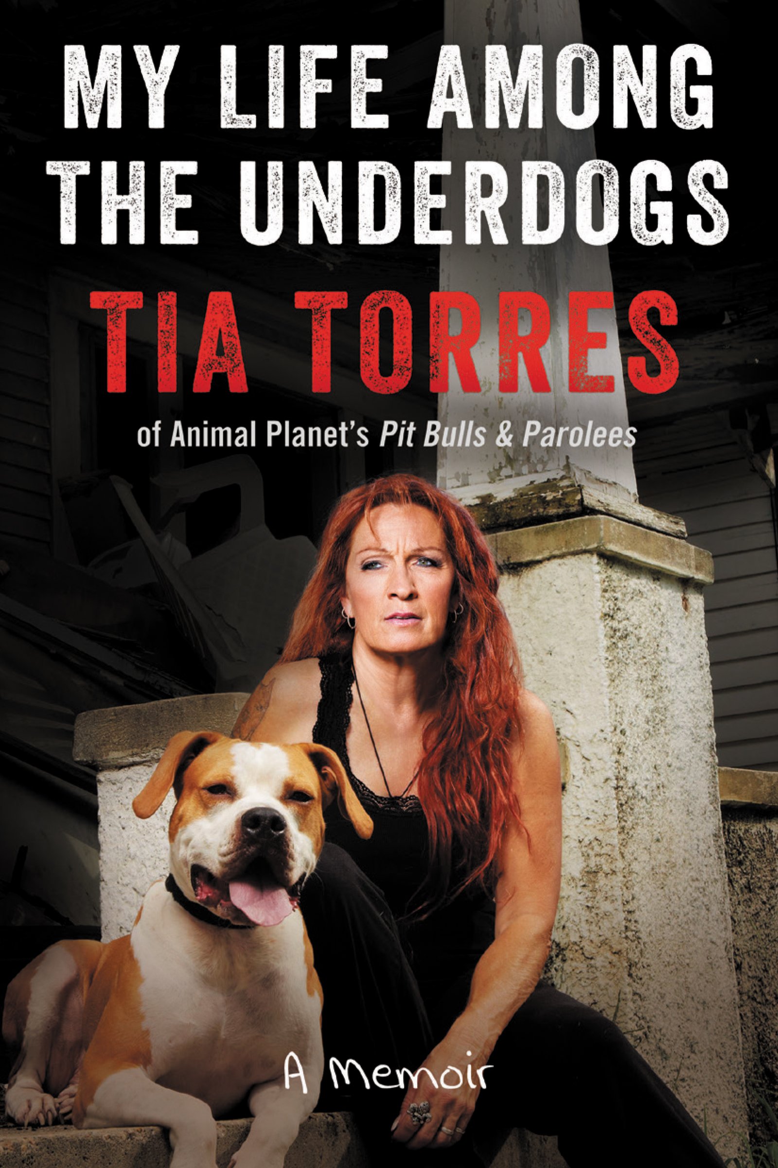 My Life Among the Underdogs by Tia Torres