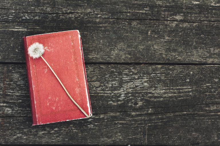 A single wisp of knowledge: a dandelion seed rests on a well-worn red book lying on a rugged wooden surface, evoking a sense of tranquility and the passage of time.