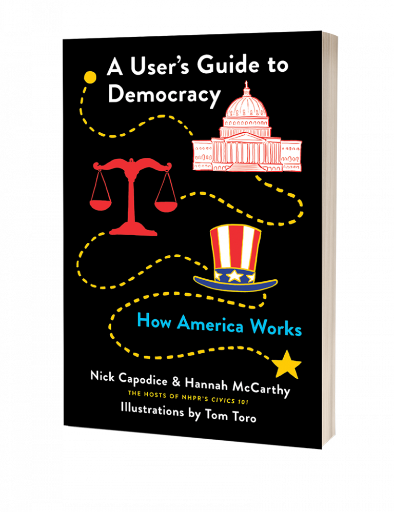 A colorful book cover titled "a user's guide to democracy" featuring illustrations of a government building, a scale of justice, and a hat with stars and stripes, symbolizing american democracy and its workings.