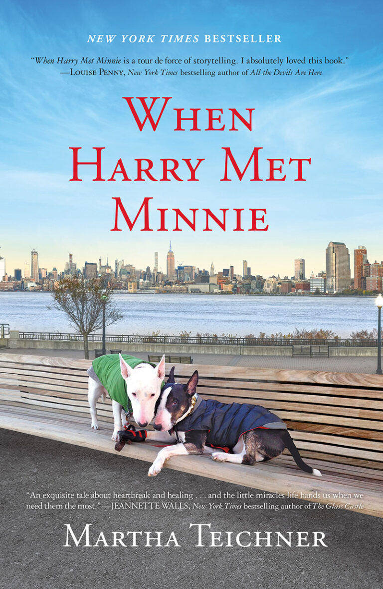 A book cover entitled "when harry met minnie" featuring a heartwarming image of two dogs—a bull terrier and a french bulldog—meeting on a city bench with a backdrop of skyscrapers under a clear sky, hinting at an urban tale of canine friendship.
