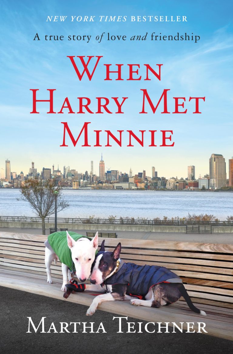 Two dogs sitting closely on a park bench with an urban skyline in the background, under the title "when harry met minnie" by martha teichner, hinting at a story of love and friendship.