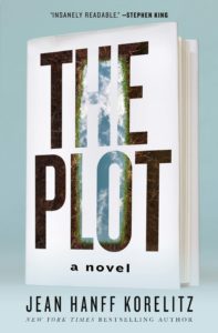 A book cover with a natural landscape viewed through cut-out letters of the title, "the plot," suggesting a story deeply rooted in intrigue and mystery.