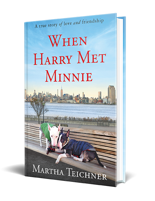 An illustrated book cover titled "when harry met minnie" by martha teichner, depicting a heartfelt story of love and friendship, featuring two dogs sitting closely together on a park bench against the backdrop of a city skyline.