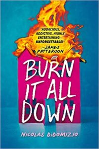 A book titled "burn it all down" by nicolas didomizio, featuring a vibrant pink house with playful typography engulfed in illustrated flames against a bold turquoise background.
