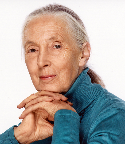 A portrait of a thoughtful, elderly woman with her chin resting on her hands, wearing a blue turtleneck, exuding a sense of wisdom and tranquility.
