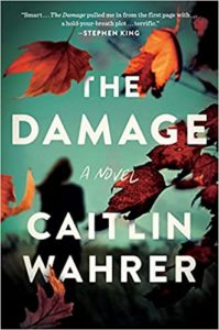 A book cover with a suspenseful atmosphere featuring the title "the damage" in large white letters, by caitlin wahrer, with fallen red leaves scattered against a dark backdrop, suggesting a thrilling or dramatic tale.