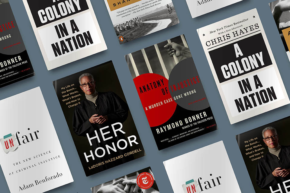Grid of books, including Her Honor, about Criminal Justice
