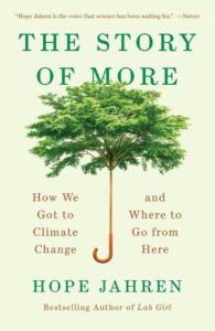 Cover of Story of More with green tree umbrella