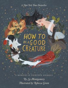 Cover of How To Be a Good Creature
