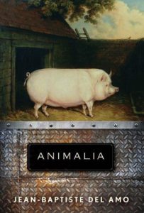 A pig stands prominently in the foreground against a pastoral background, above a textured surface that frames the title "animalia" by jean-baptiste del amo.
