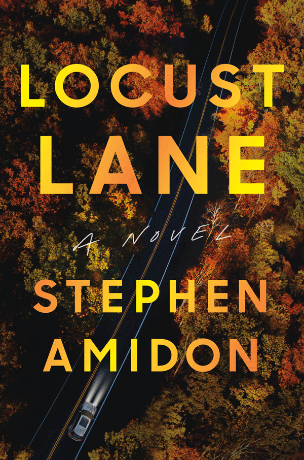 Human Capital: A Novel by Amidon, Stephen
