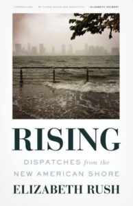 A misty waterfront scene with waves lapping over the edge of a railing, under a gloomy sky, hinting at the theme of climate change and its effects on coastlines, on the cover of elizabeth rush's book "rising: dispatches from the new american shore.