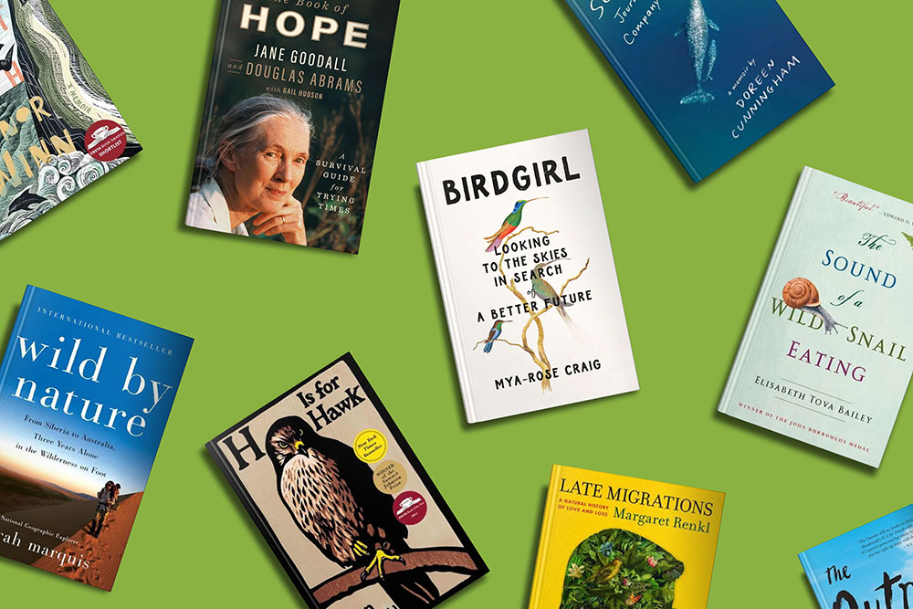 A selection of nature-themed books laid out on a green background, showcasing titles that inspire a connection with the natural world.