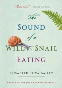 An illustrated book cover titled "the sound of a wild snail eating" by elisabeth tova bailey, adorned with an image of a snail and a green fern leaf, with a quote praising the book by edward o. wilson. the cover also notes the book as a winner of the john burroughs medal.