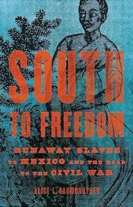 South to freedom: runaway slaves to mexico and the road to the civil war" - a book cover featuring an illustration of a person, possibly representing an escaped slave, against a backdrop of trees and a stylized compass, symbolizing the journey to liberation.