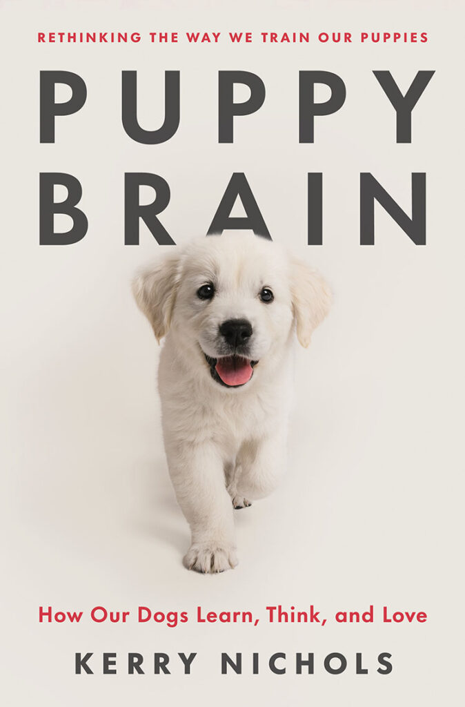Cover of a book titled "puppy brain" with a photo of an adorable white puppy looking curiously at the camera, exploring the concepts of canine learning, thinking, and affection.