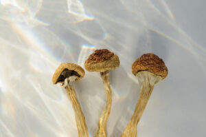 What is psychedelic therapy?