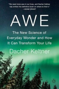 Under a star-studded sky with the luminous aurora borealis, a journey through 'awe: the new science of everyday wonder and how it can transform your life' by dacher keltner awaits, promising to unlock the transformative power of awe.