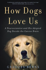 Book cover titled "how dogs love us" by gregory berns, featuring a close-up of a gentle golden retriever looking directly at the viewer.