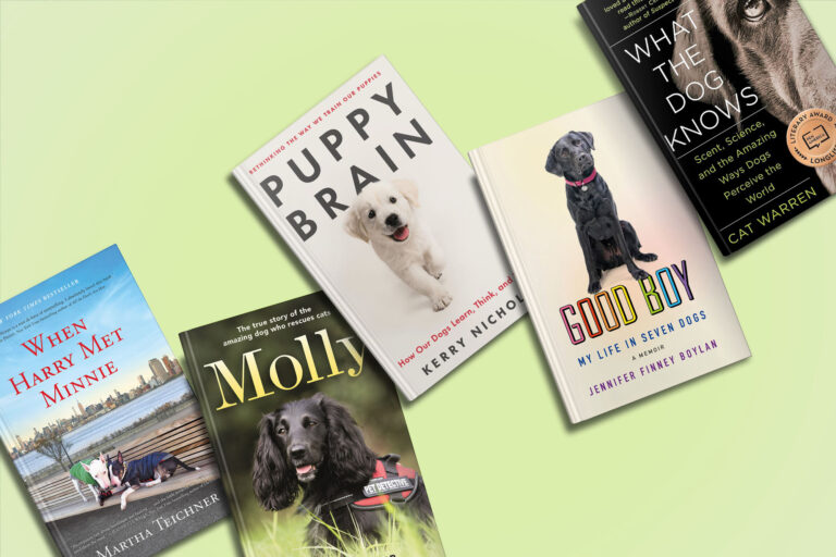 Four books about dogs are displayed on a light green background. titles include "puppy brain," "molly," "good boy," and "what the dog knows." the covers feature images of different dog breeds.