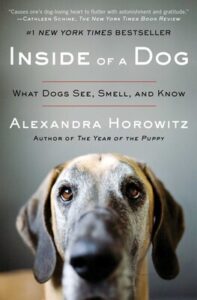 Cover of the book "inside of a dog" by alexandra horowitz featuring a close-up of a grey dog with soulful eyes, with the title and author's name overlaid on the image.
