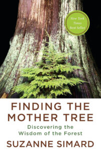 Cover of the book "Finding the Mother Tree" by Suzanne Simard, showing a large tree trunk with a small fir tree growing on it, labeled as a New York Times Best Seller.