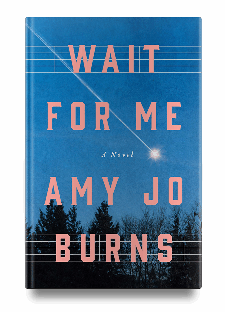 Book cover for "Wait For Me" by Amy Jo Burns, with a shooting star in a blue sky above silhouettes of trees.