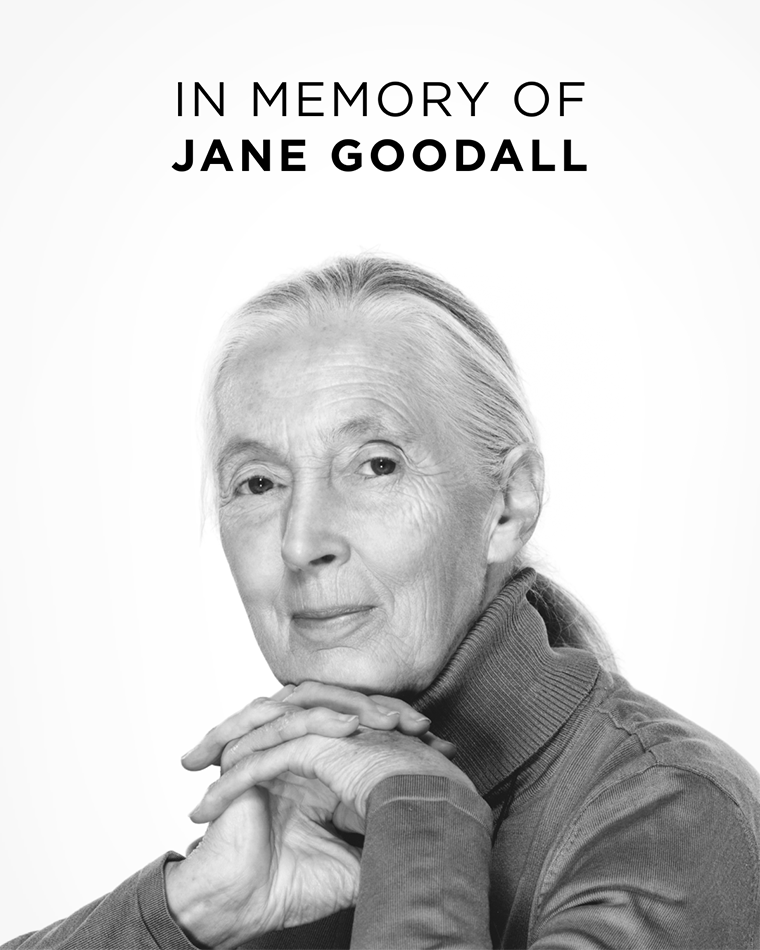 Black and white portrait of an older woman with text: "In memory of Jane Goodall.
