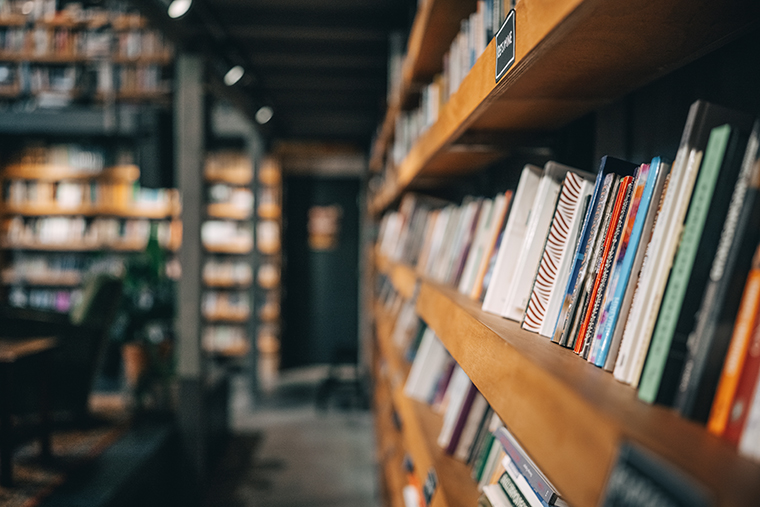 Books lined up on a wooden bookshelf in a library with a blurred background and warm lighting.